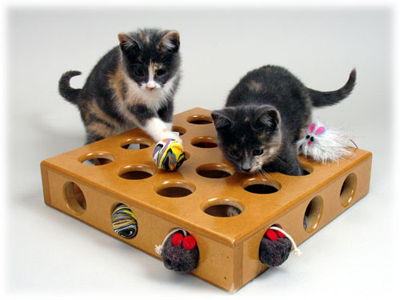 Кошачьи игры и игрушки